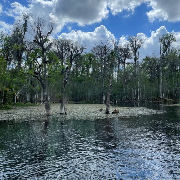 About Posher - Picture 8 of 10